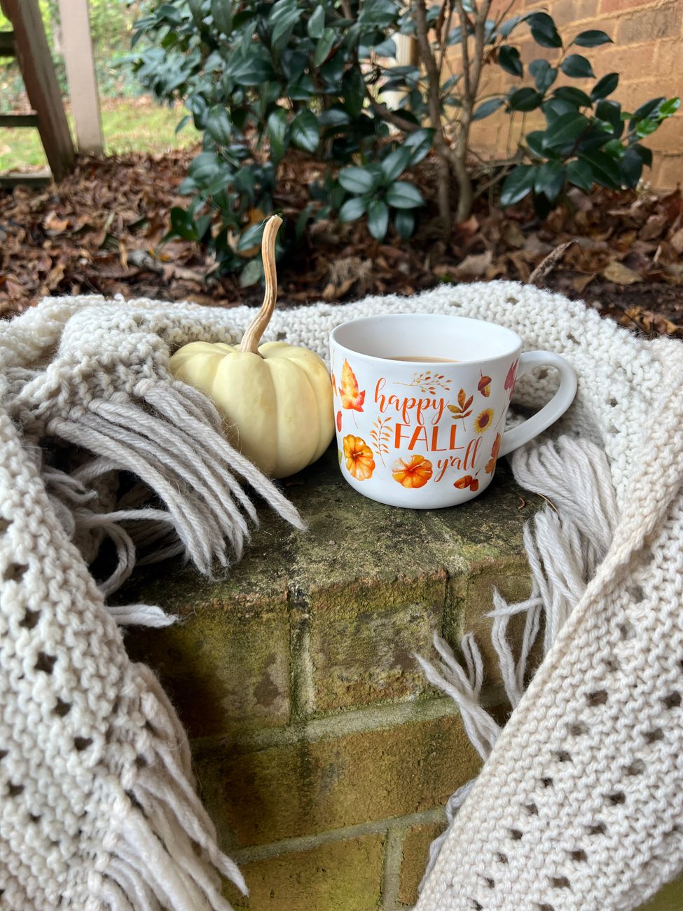 pexels-photo-8432799 a pumpkin and a mug with a shawl around