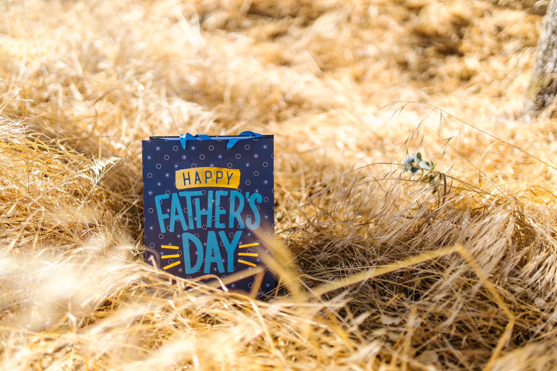 blue paper bag on bushes